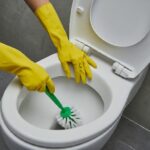 The Importance of Toilet Cleaning and Why You Should Hire a Professional