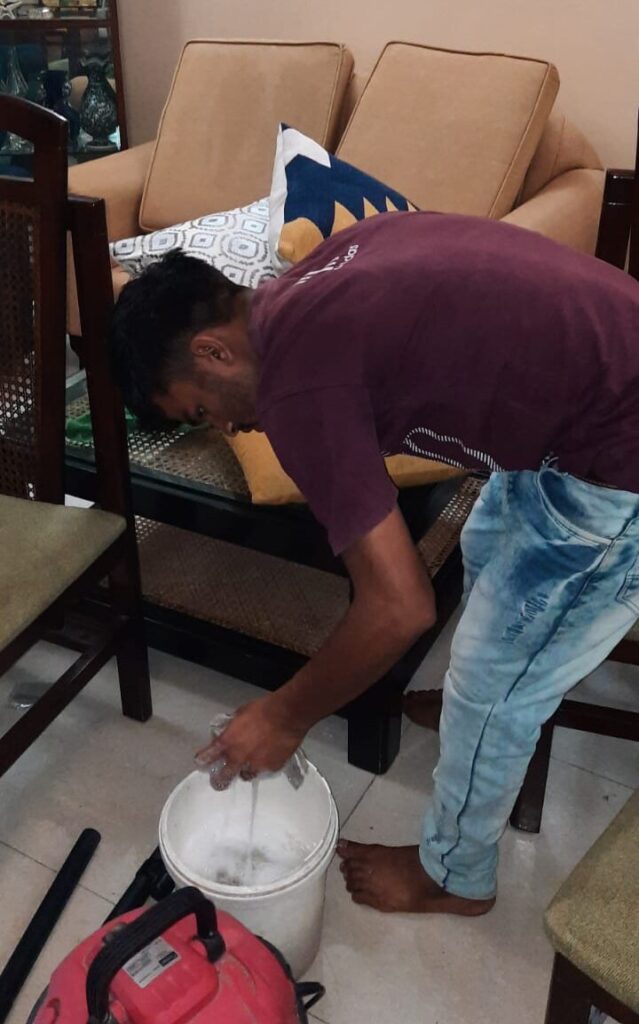 Shampoo cleaning Sofa